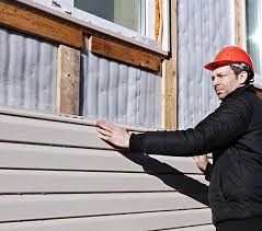 Best Historical Building Siding Restoration  in Roman Forest, TX